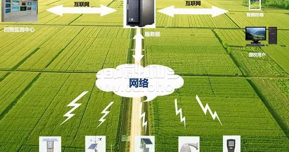 機器學(xué)習(xí)助力傳統(tǒng)農(nóng)業(yè)轉(zhuǎn)型智能農(nóng)業(yè)