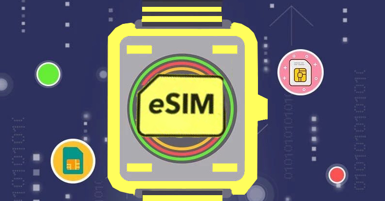 ESIM應(yīng)用環(huán)境的實(shí)際應(yīng)用有哪些？效果圖
